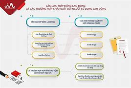 Các Loại Hợp Đồng Theo Bộ Luật Lao Động 2019