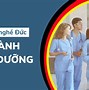 Chương Trình Điều Dưỡng Viên Đi Đức 2024 Pdf