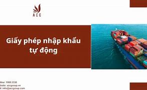 Giấy Phép Nhập Khẩu Tự Động Là Gì