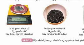 Khối Lượng Mol Trong Tiếng Anh