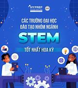 Ngành Stem