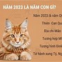 Sinh Con Trai Tháng 5 Năm 2023 Ngày Nào Tốt