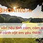 Viết Đoạn Văn Về Tình Yêu Quê Hương Lớp 6